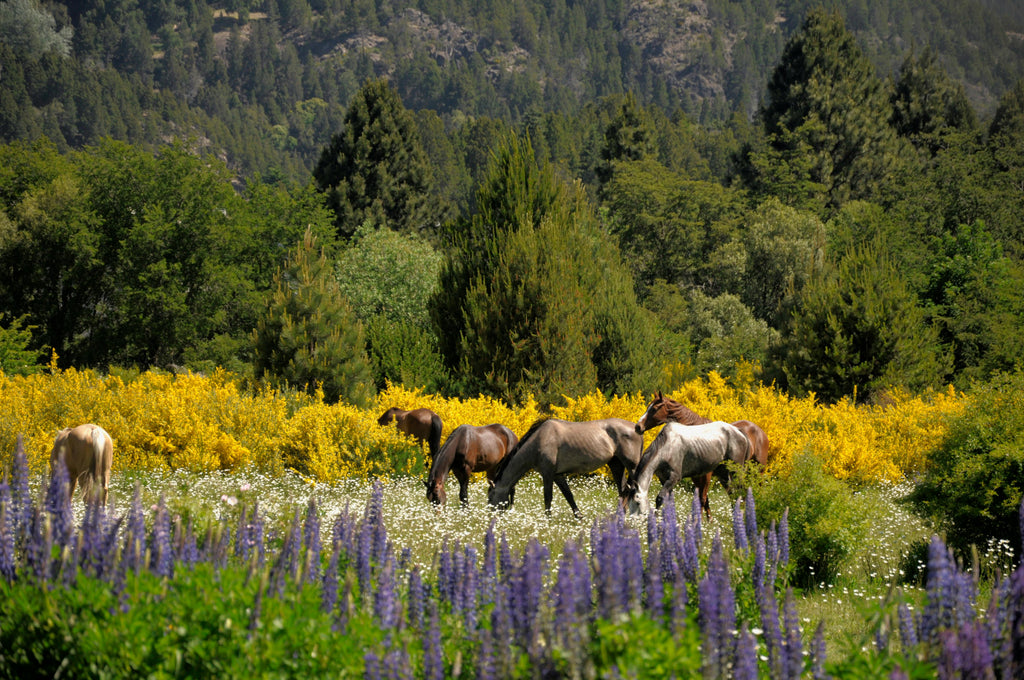 Mediterranean Sun – Elite Endurance Trail Riding & Vibrant Ochre Canyon Expeditions