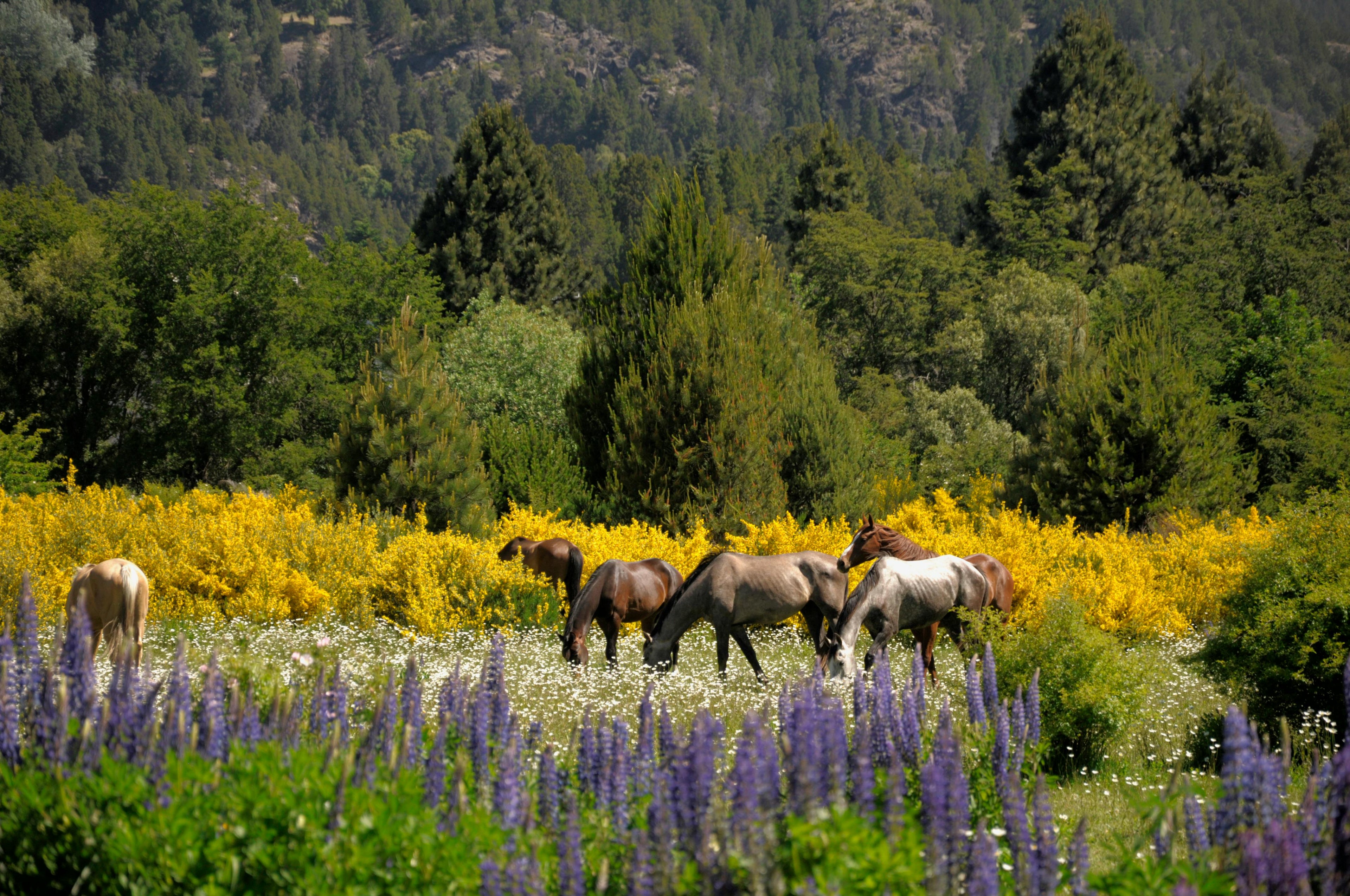Mediterranean Sun – Elite Endurance Trail Riding & Vibrant Ochre Canyon Expeditions
