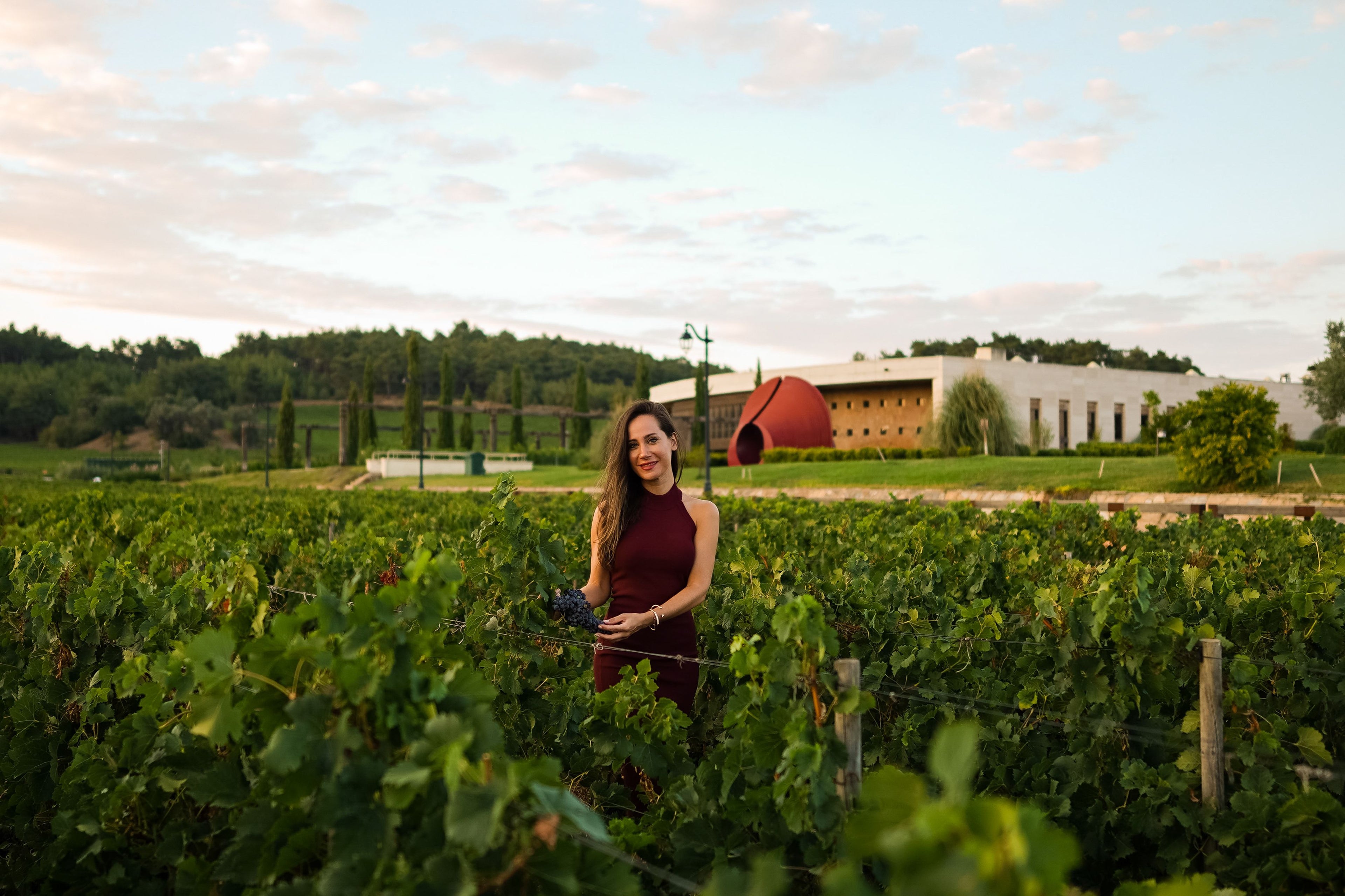 Mountain & Exclusive Wine Cellar Experience in Barcelona, Spain