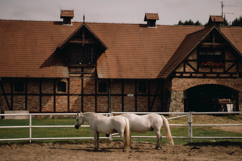 Brittany – A Historic National Stud Farm with Heritage Architecture & Majestic Draft Horses