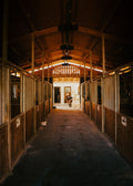 Andalusia: A Behind-the-Scenes Equestrian Visit