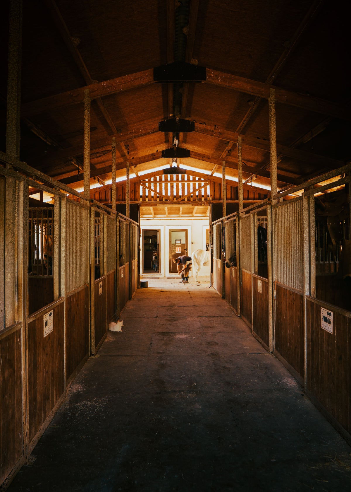 Andalusia: A Behind-the-Scenes Equestrian Visit
