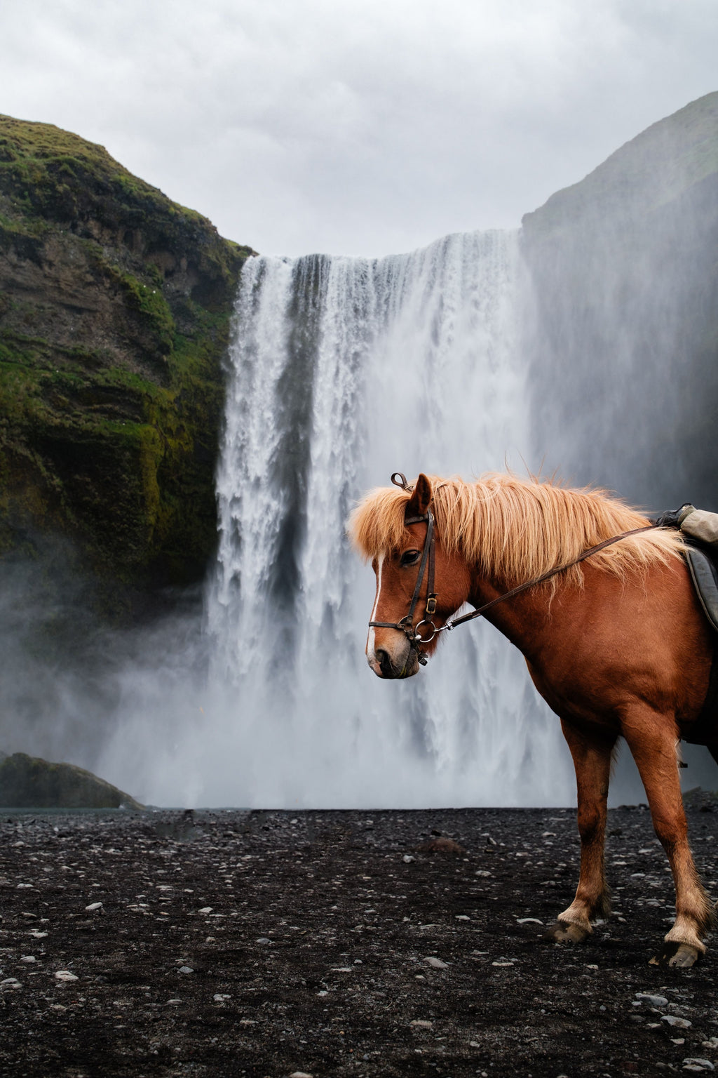 Norway: Journey Through Sunnmøre on an Authentic Icelandic Horseback Adventure