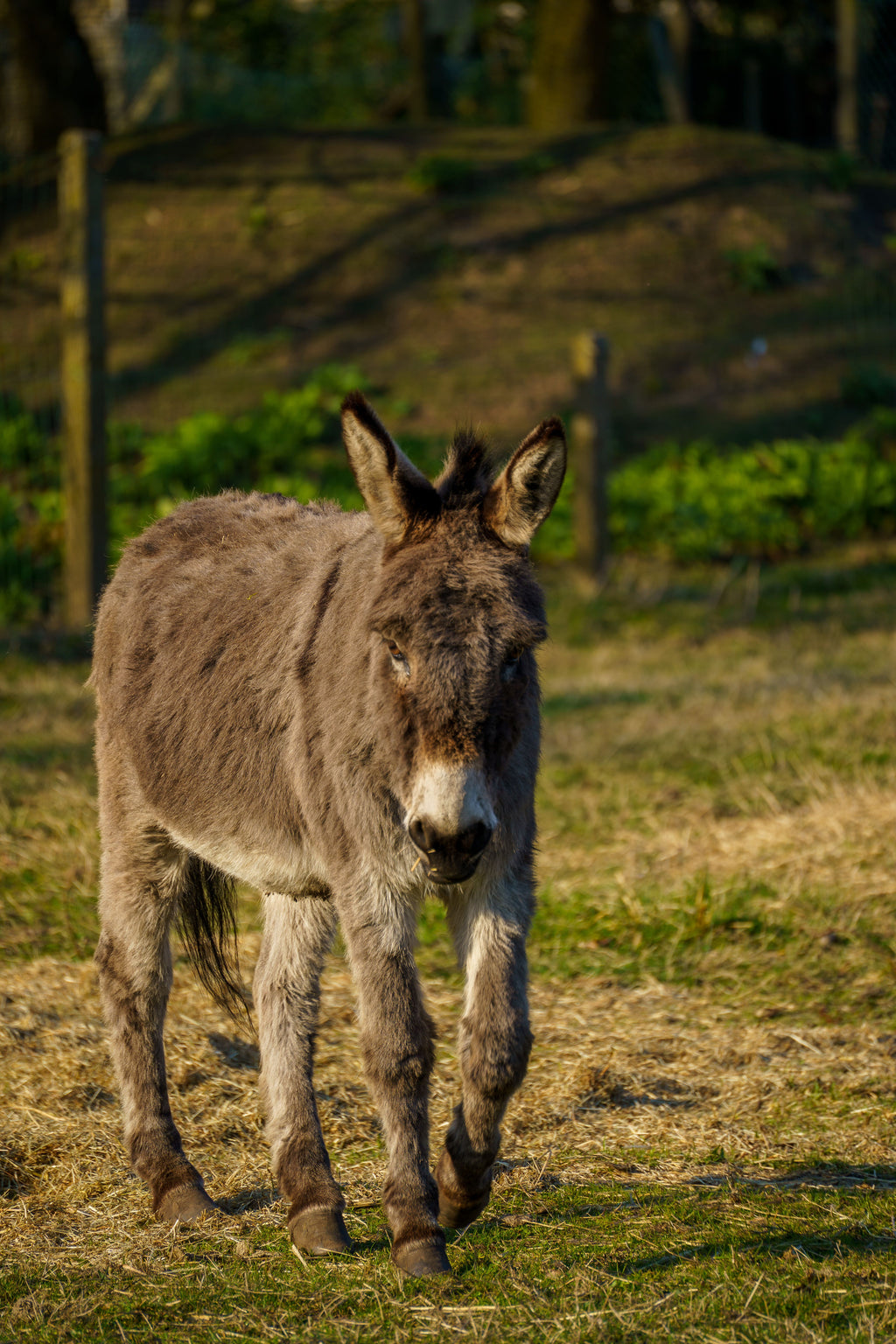 Andalusia: A Nature-Led Countryside Escape