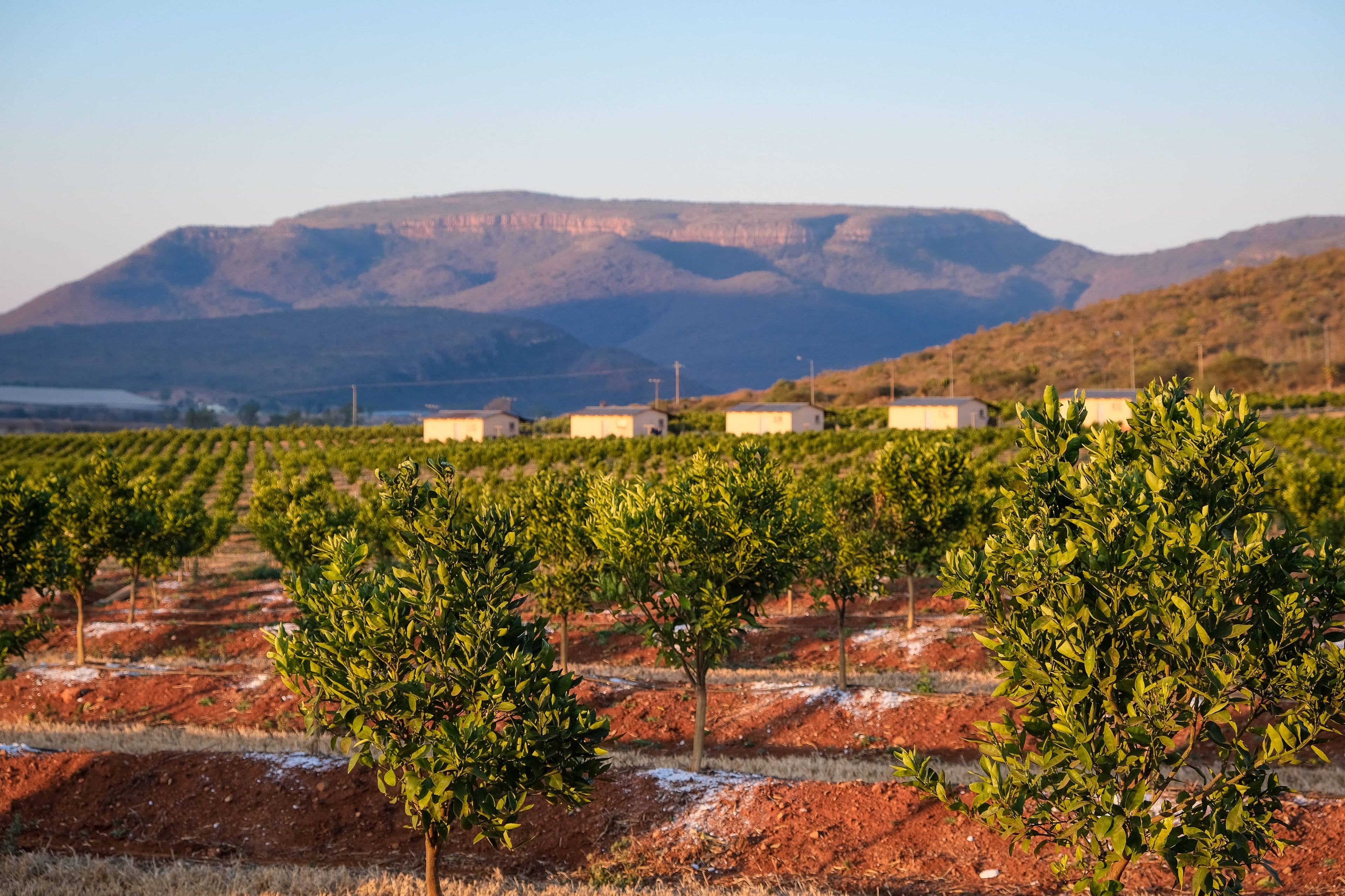 Slow Living Eco Glamping Escape in Galatas, Greece