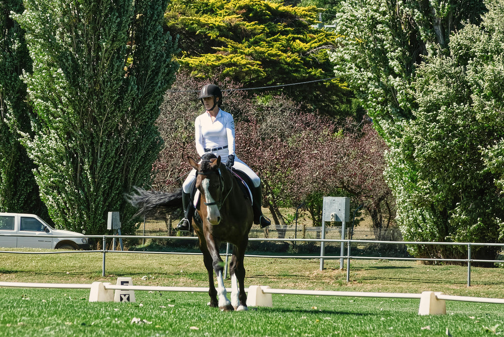 Loire Valley – Scenic Vineyards & Historic Trails Horseback Riding