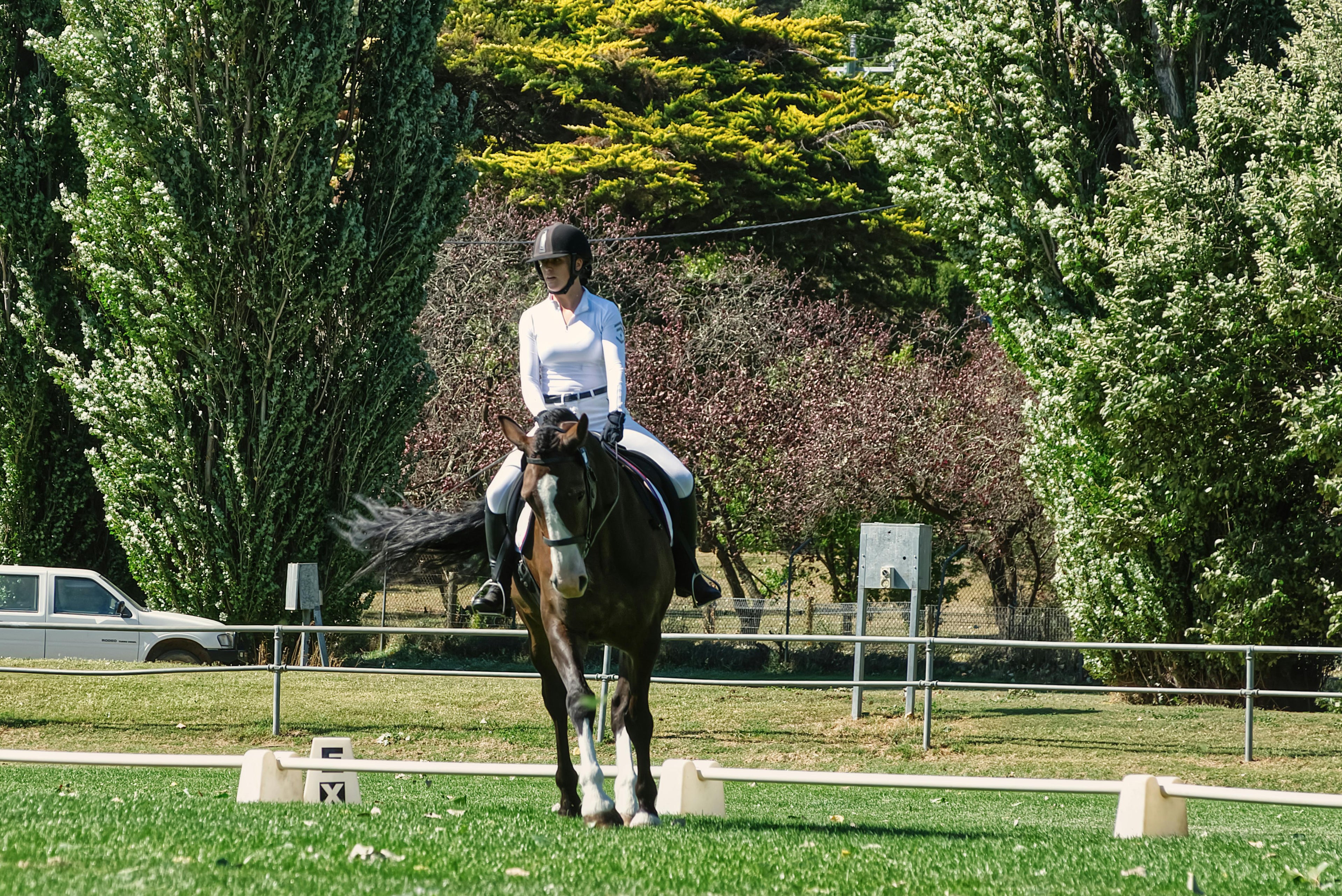 Loire Valley – Scenic Vineyards & Historic Trails Horseback Riding