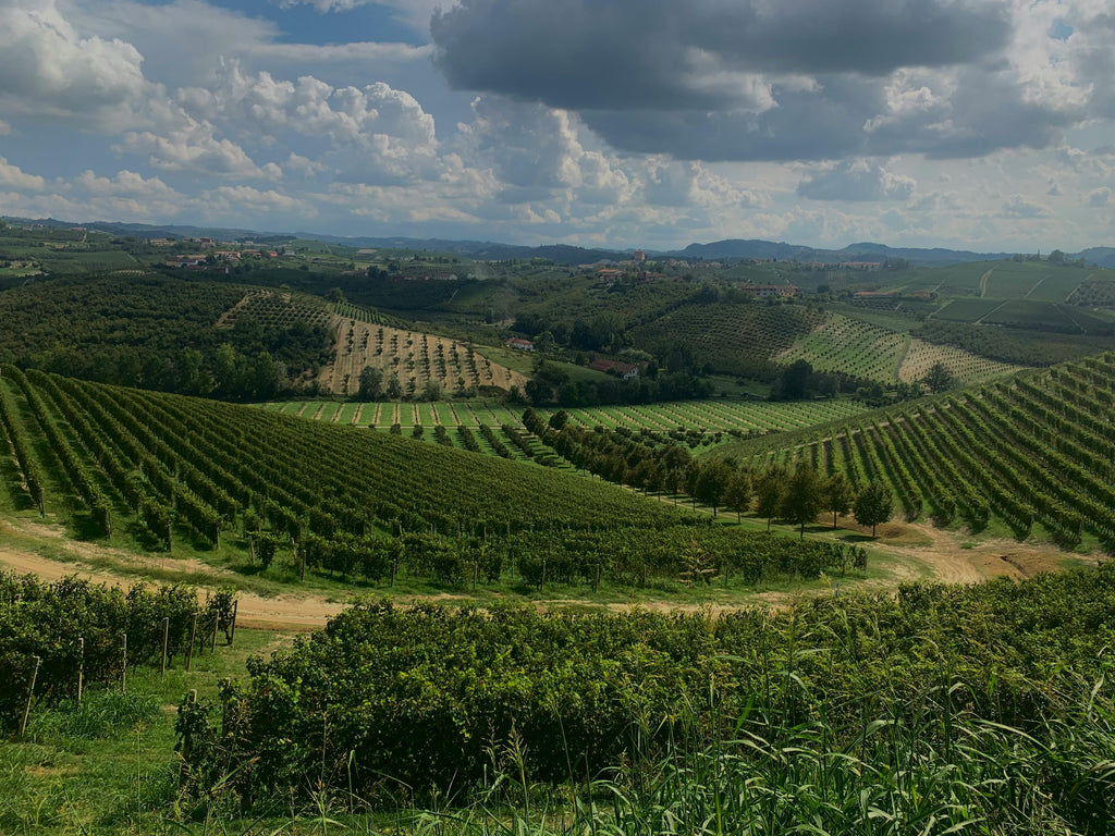 Provence – A Prestigious Wine & Wellness Resort in a Sun-Drenched Vineyard Estate