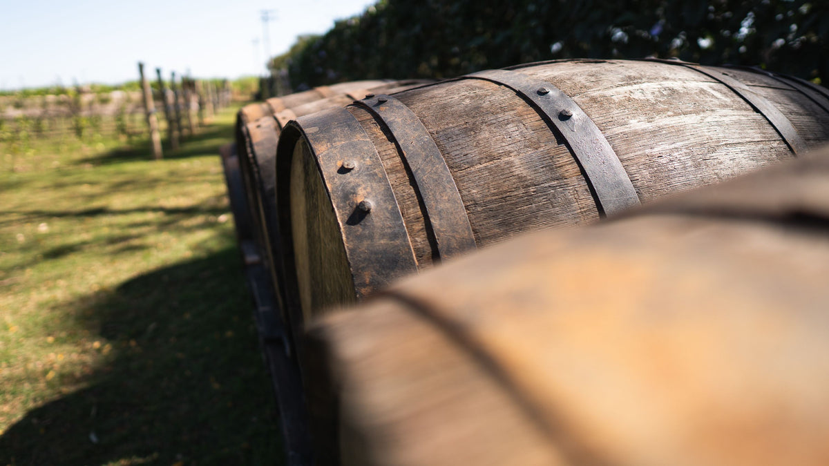 Douro Valley: Experience Life on a Wine Estate