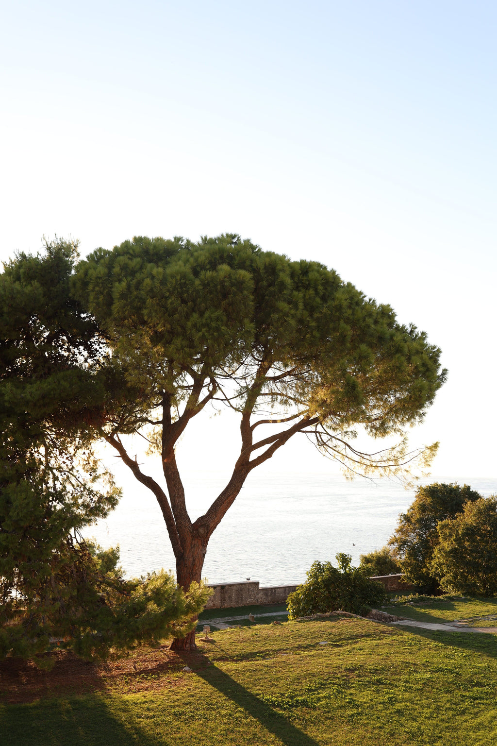 Saint-Tropez: A Château Retreat with Sea and Garden Views