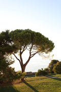 Saint-Tropez: A Château Retreat with Sea and Garden Views