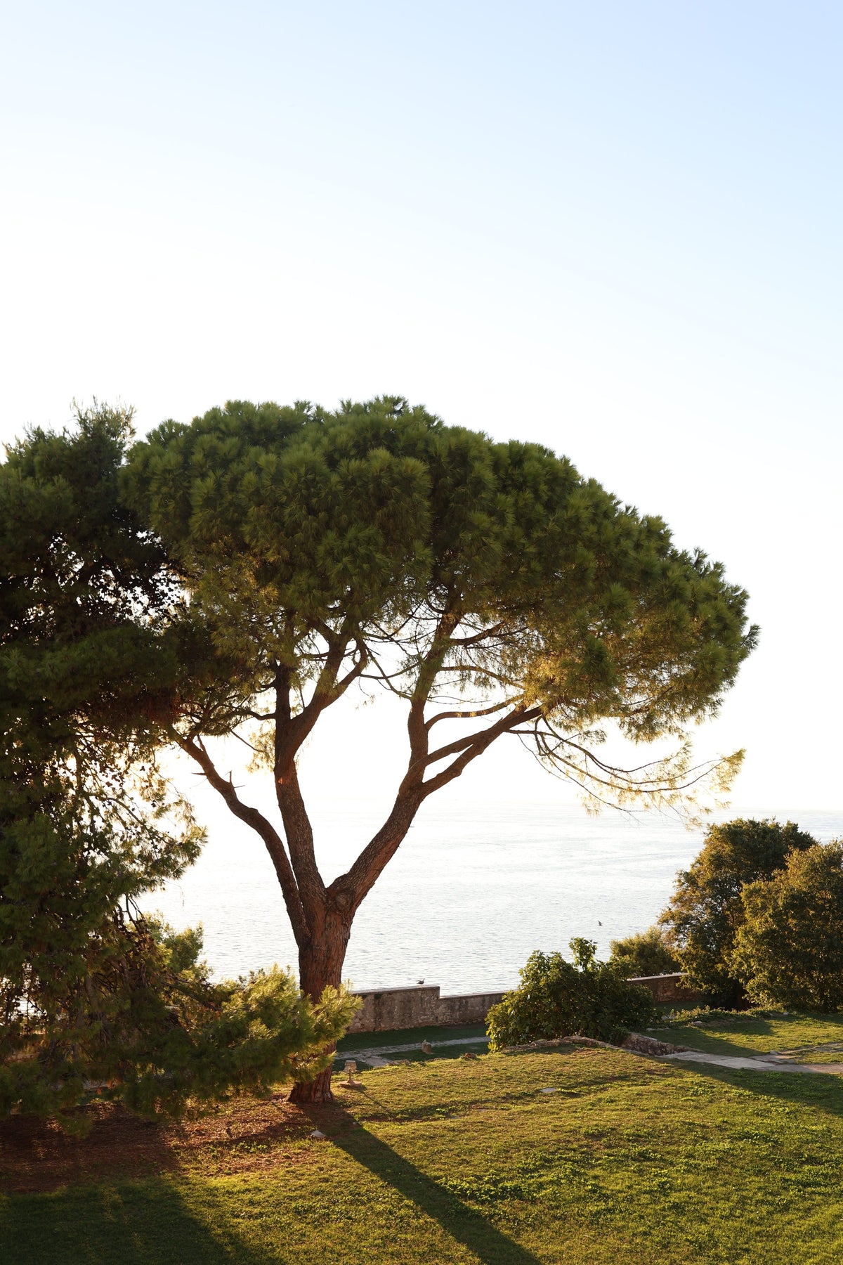 Saint-Tropez: A Château Retreat with Sea and Garden Views