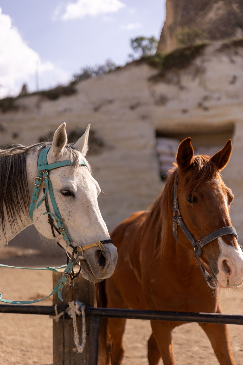 Meteora, Greece - Horseback & Local Wine Tasting Experience