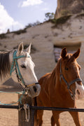 Meteora, Greece - Horseback & Local Wine Tasting Experience