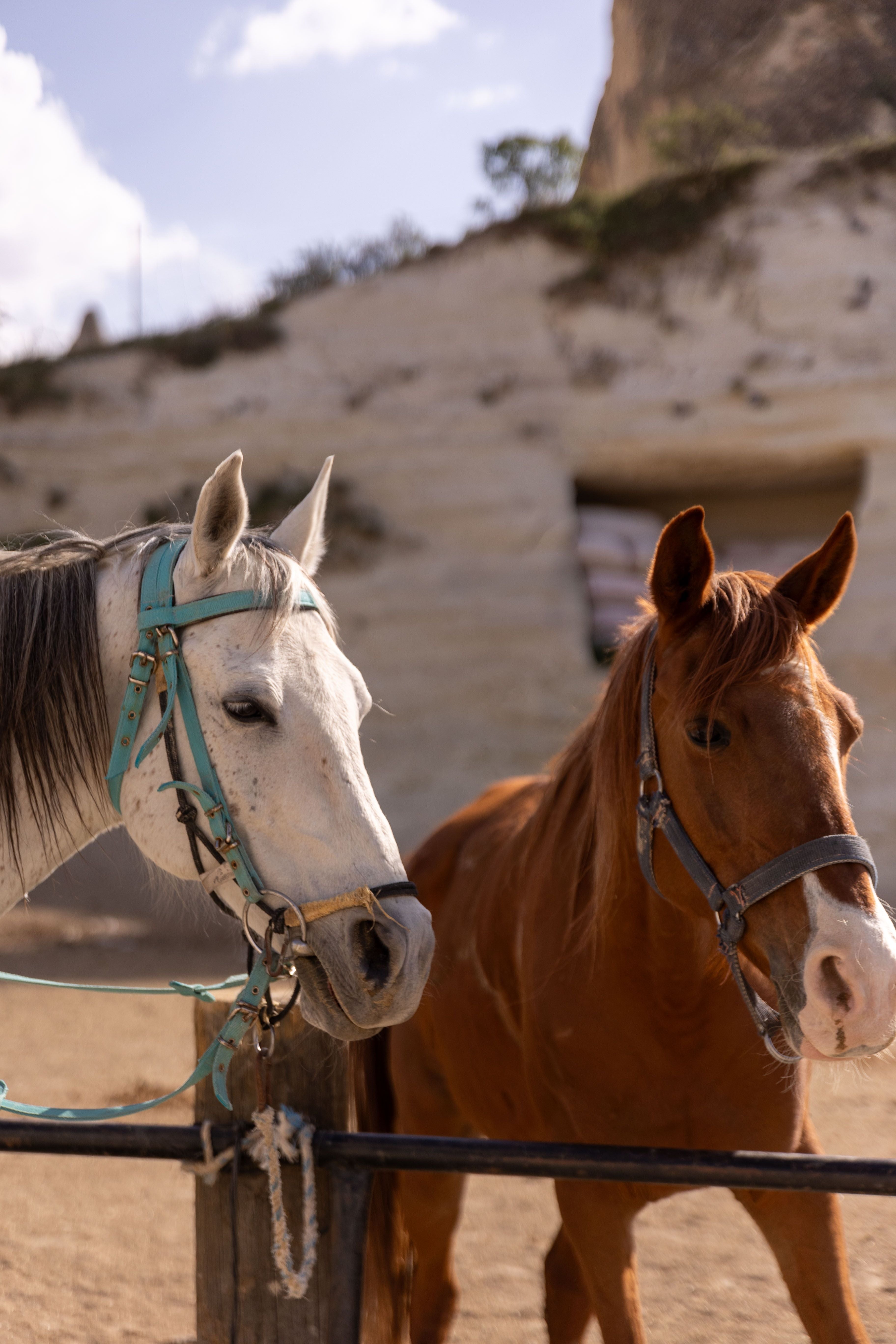 Meteora, Greece - Horseback & Local Wine Tasting Experience