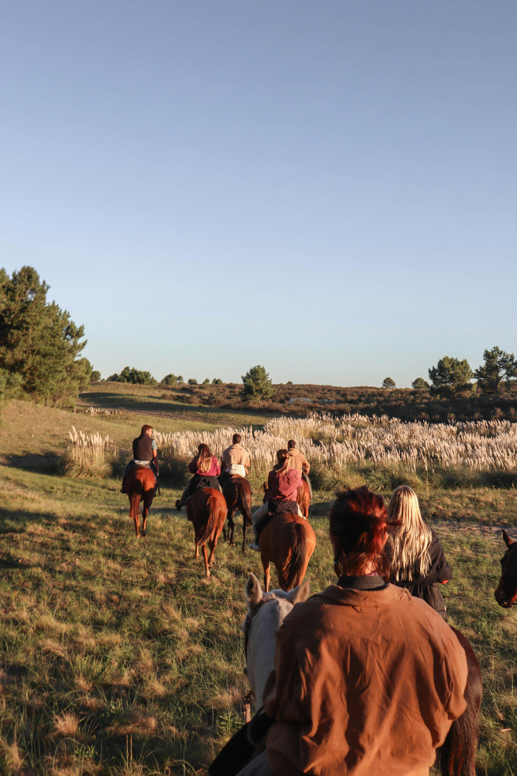 Loire Valley – Scenic Vineyards & Historic Trails Horseback Riding
