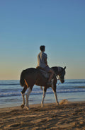 Corsica – An Exclusive Beach & Wild Maquis Horseback Ride on a Luxury Mediterranean Estate