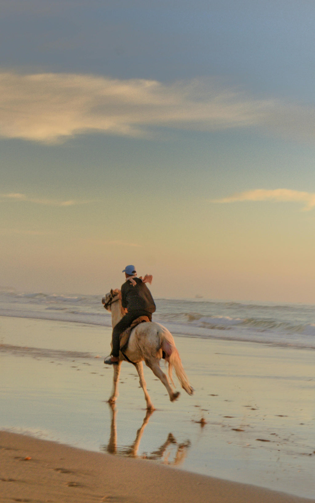Delta Wetlands – Legendary White Horse Marshland Trails & Coastal Gallops