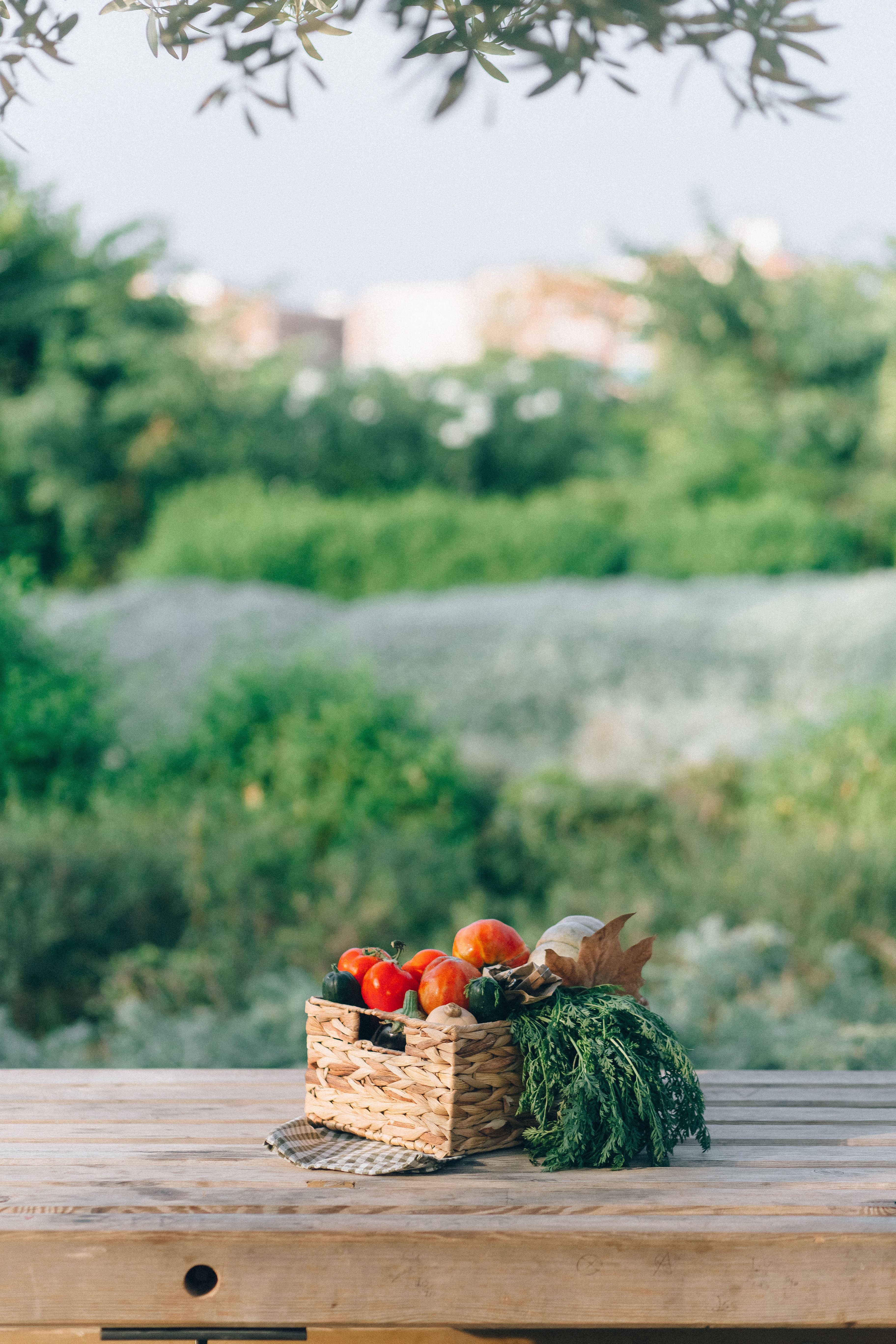 Santorini - From Farm to Table