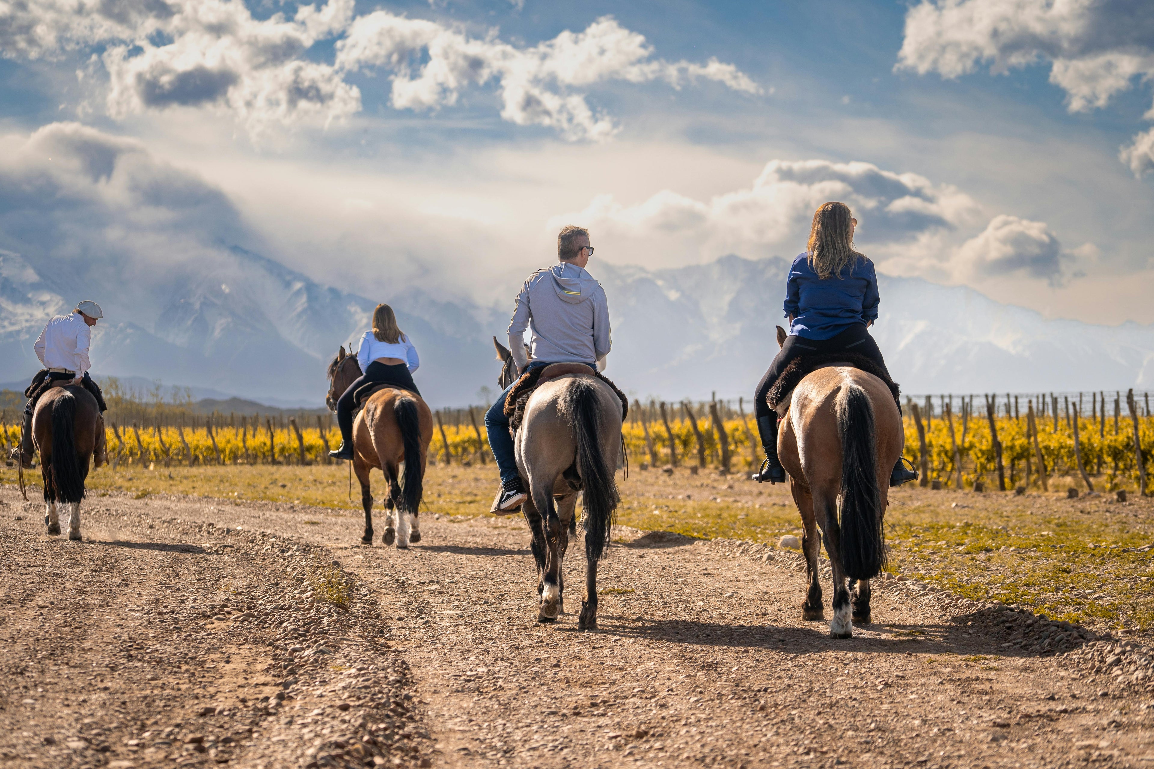 Normandy – Authentic Countryside Trail Riding & Custom Horsemanship in the Green Heart of France