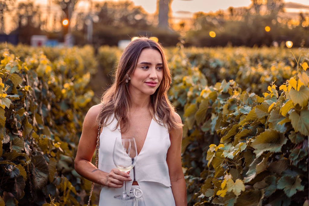 Paros Premium Wine & Artisan Cheese Tasting Experience