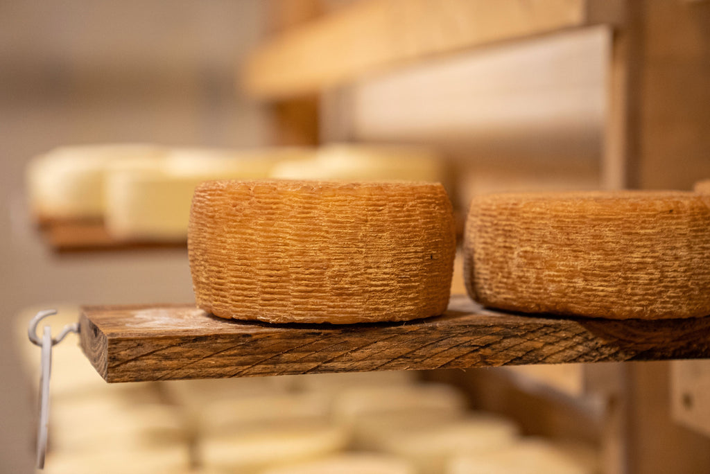 Tuscany - The Art of Tuscan Cheese Making