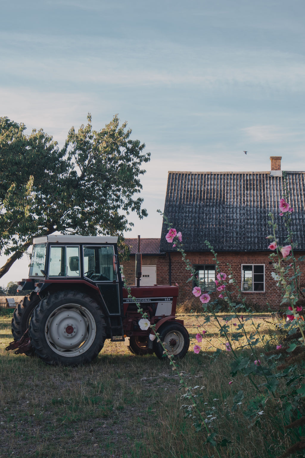 Barcelona - A Day at the Farm