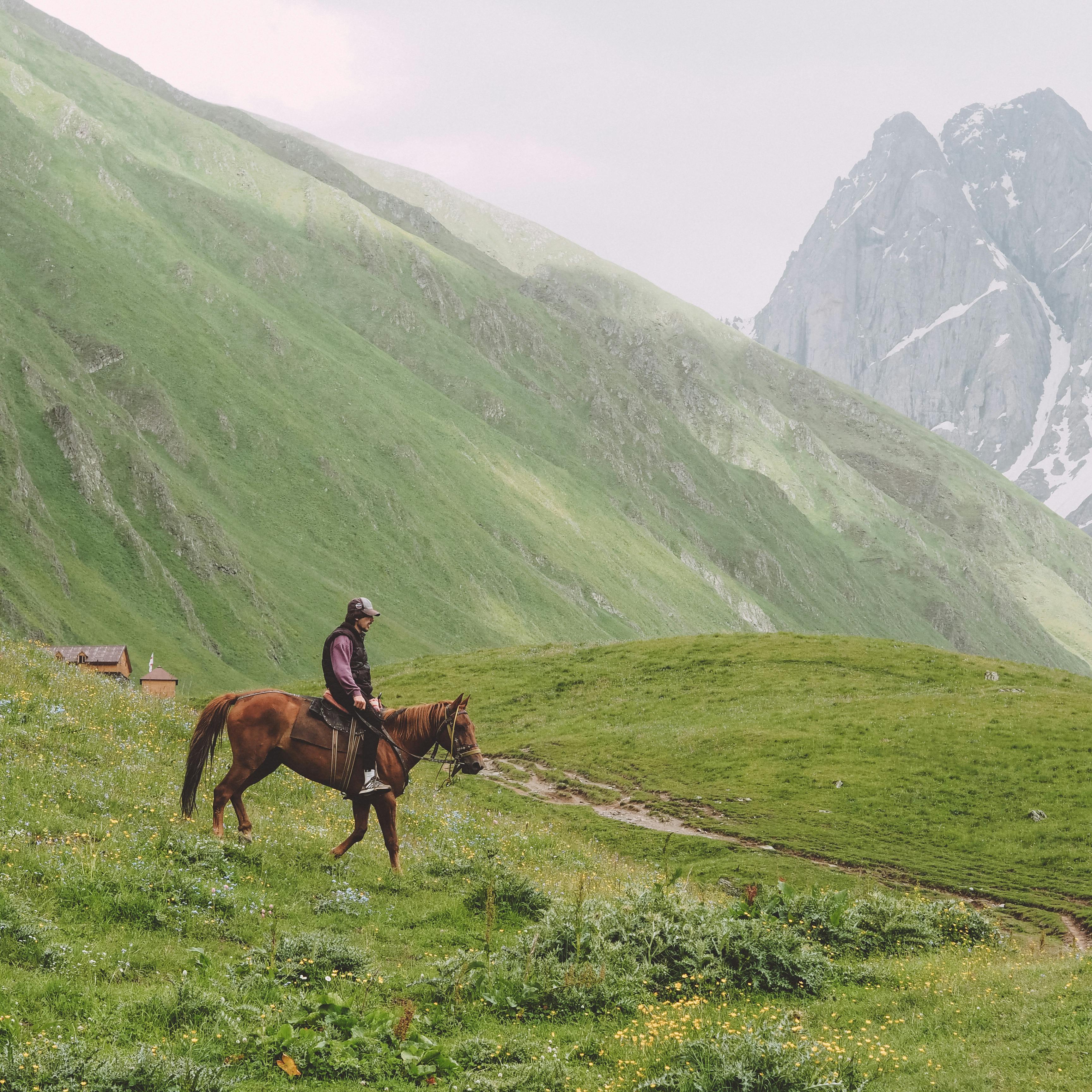 Volcanic Highlands – High-Altitude Ridge Trails & Equestrian Wilderness Exploration