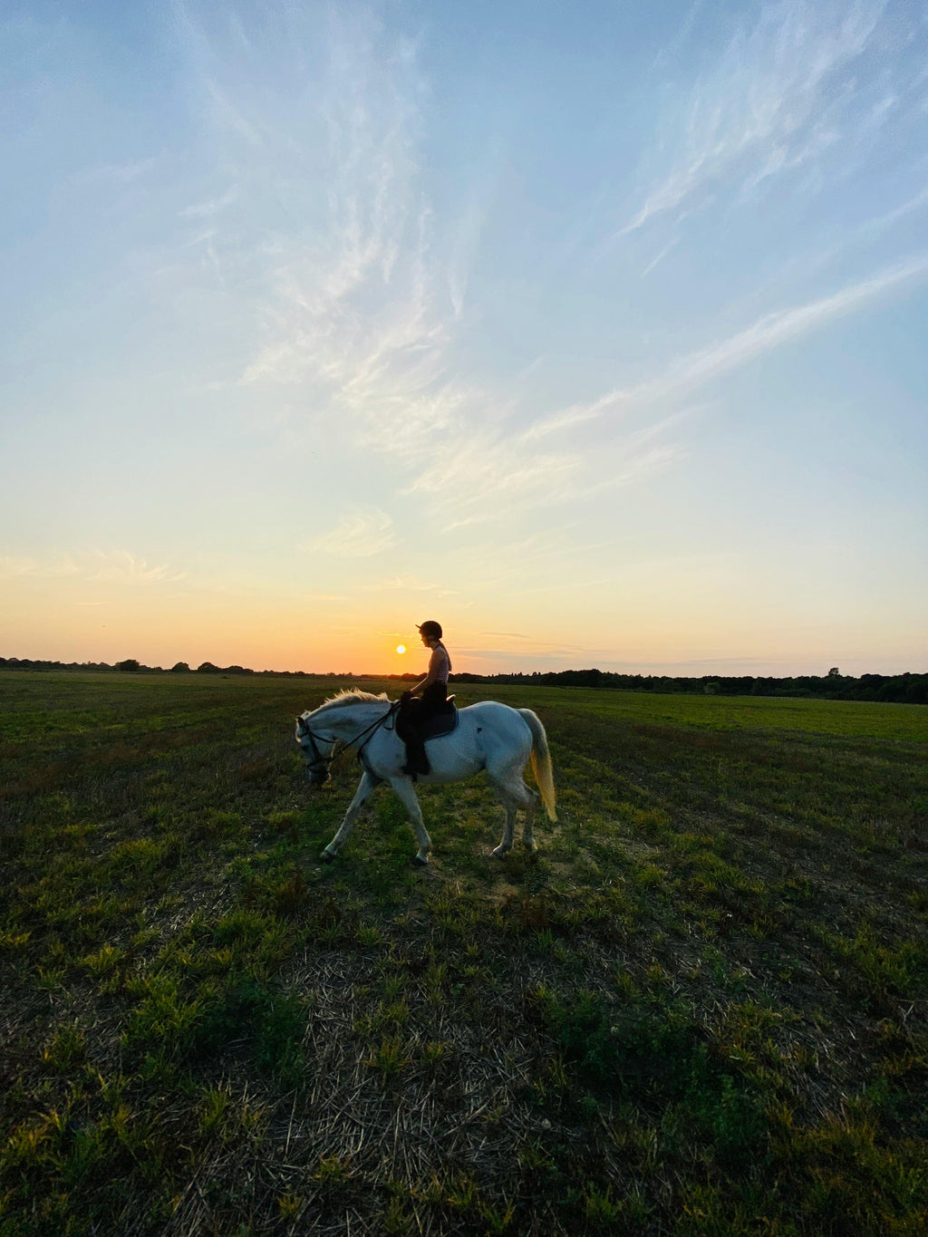 Occitanie – A Sustainable Eco-Estate with Advanced Equestrian Center & Peaceful Pine Forests