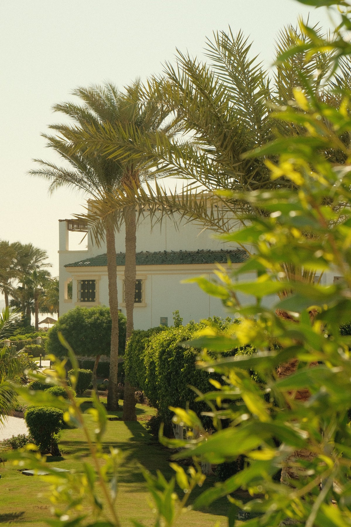 Mallorca: A Mediterranean Retreat Rooted in Nature