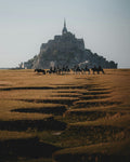 Normandy – A Legendary Royal Equestrian Estate Known as the Versailles of Horses