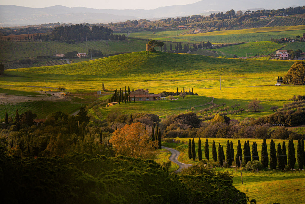 Tuscany - A Table Rooted in the Land