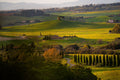 Tuscany - A Table Rooted in the Land