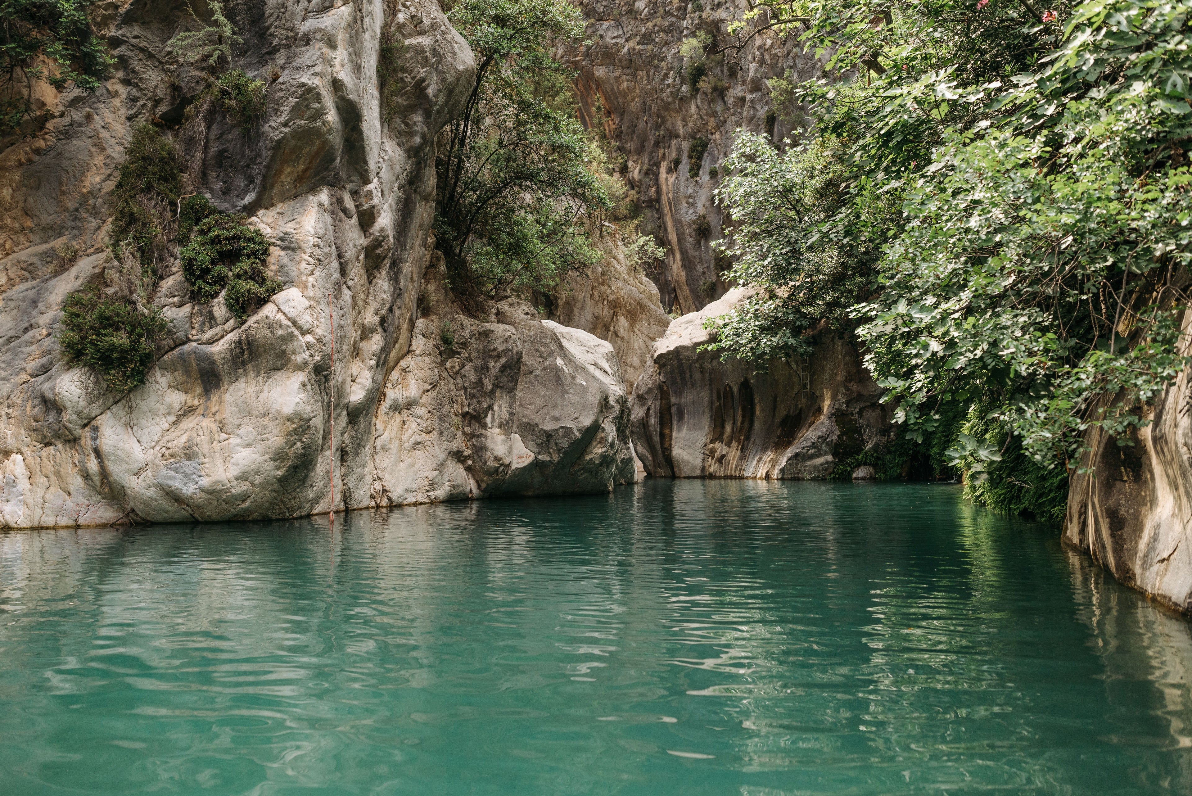 Turquoise Canyons – Steep Limestone Ridge Riding & Crystal River Equestrian Trails