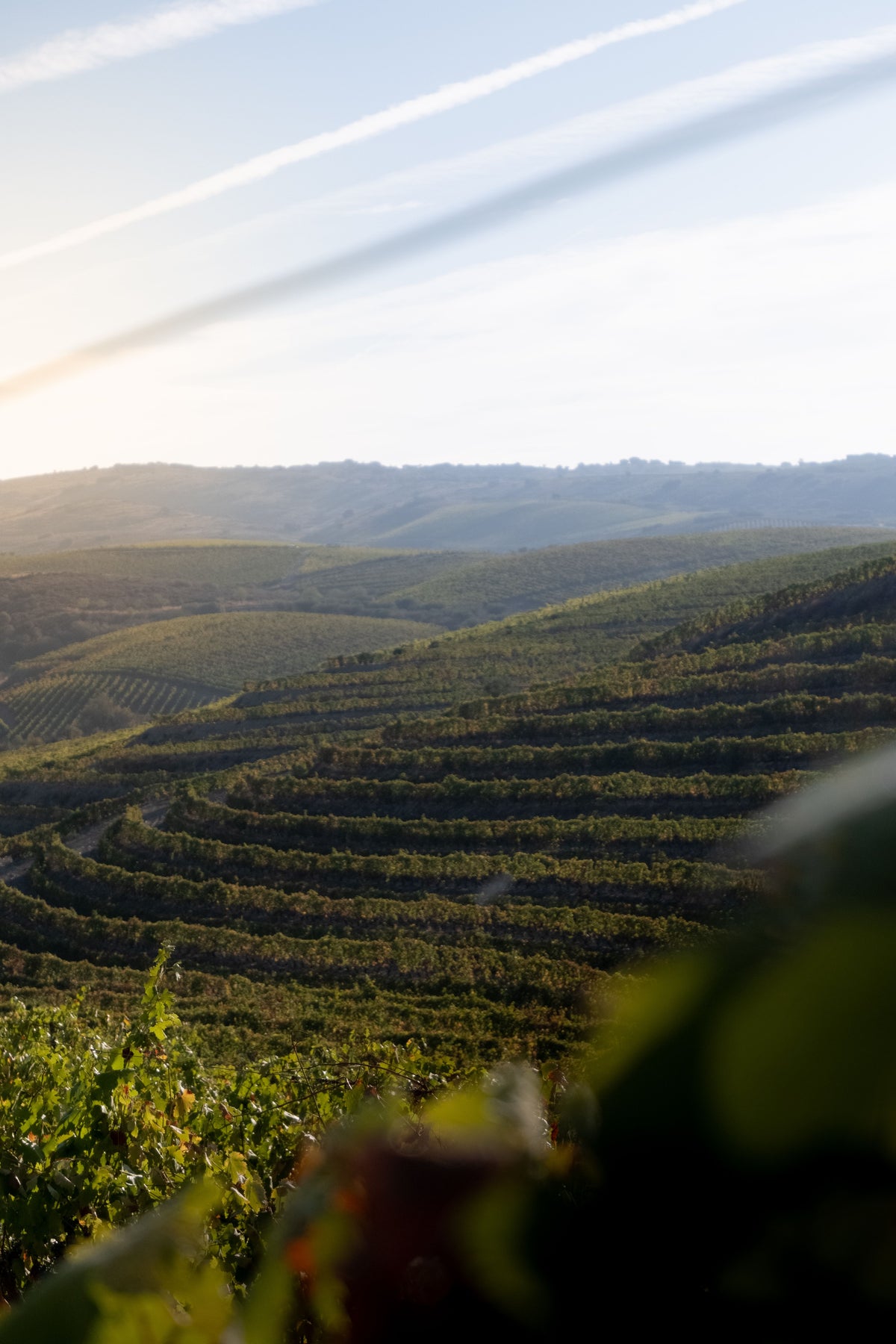 Douro Valley: A Wine-Focused Countryside Stay