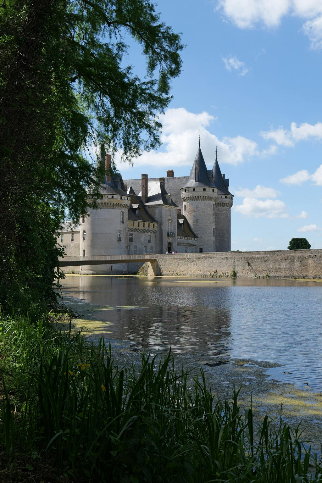 Loire Valley – Scenic Vineyards & Historic Trails Horseback Riding
