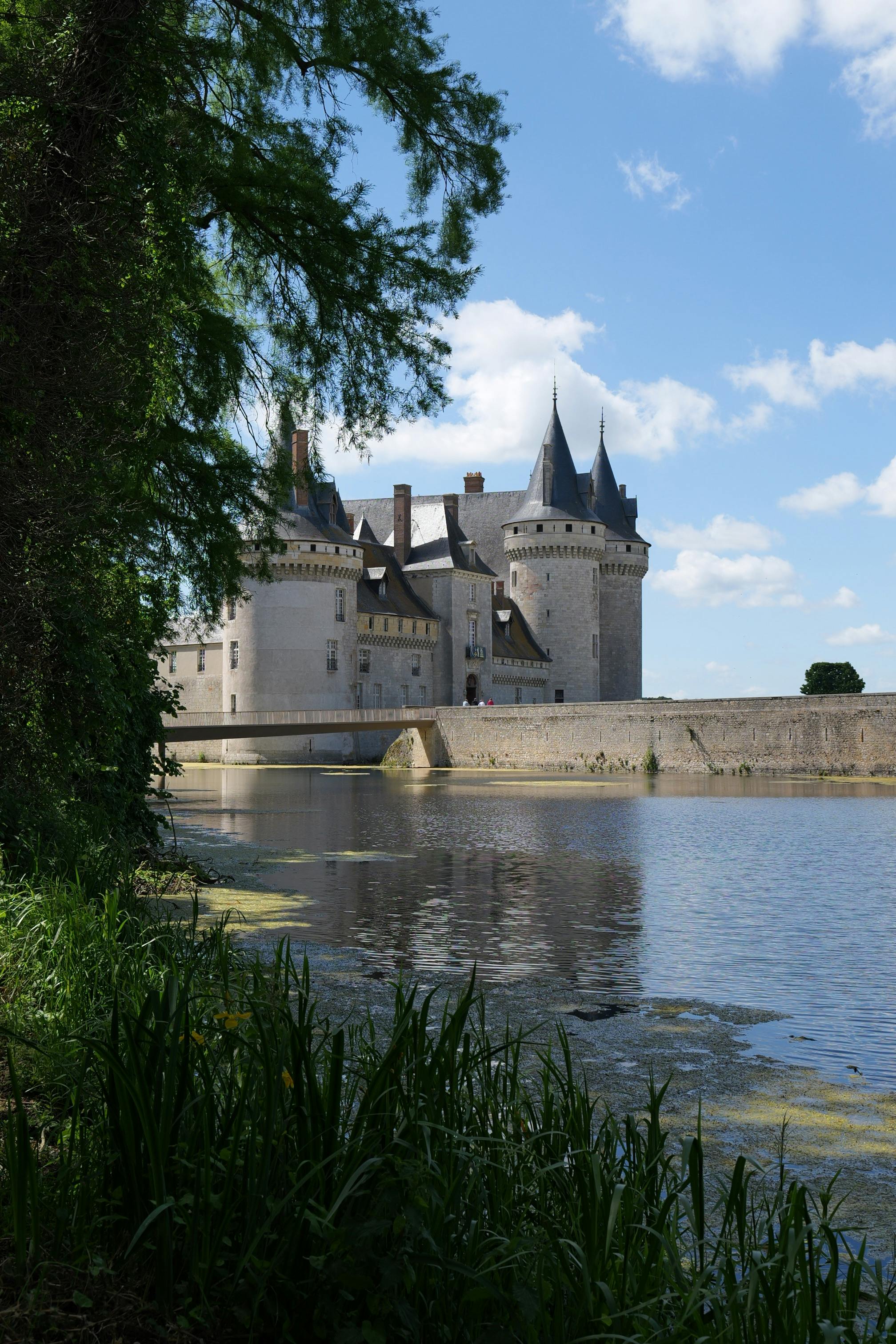 Loire Valley – Scenic Vineyards & Historic Trails Horseback Riding
