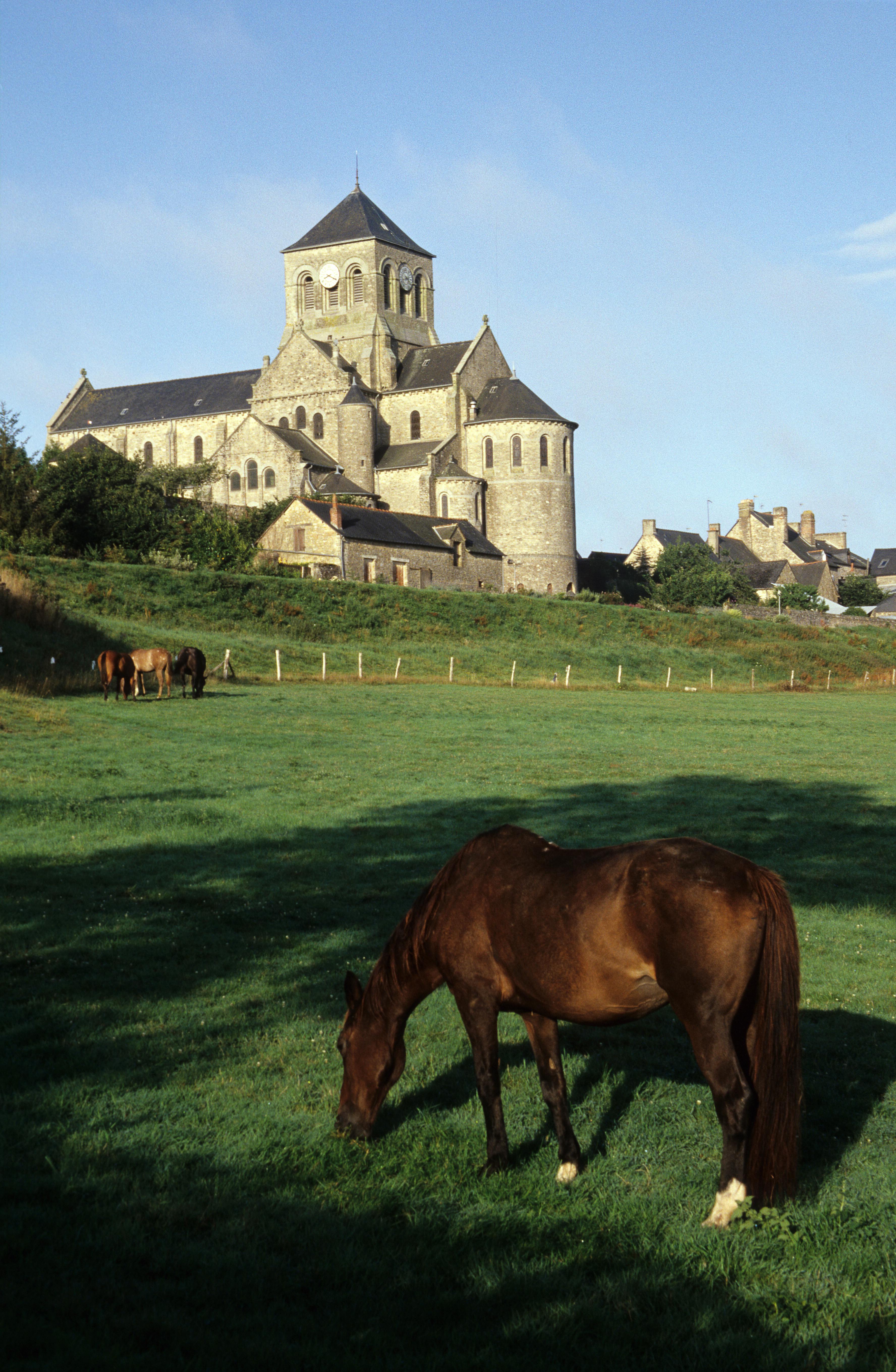 Bordeaux – A Contemporary Wine & Equestrian Estate in the Heart of the Vineyards