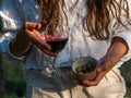 Mallorca - Vineyards & Wine
