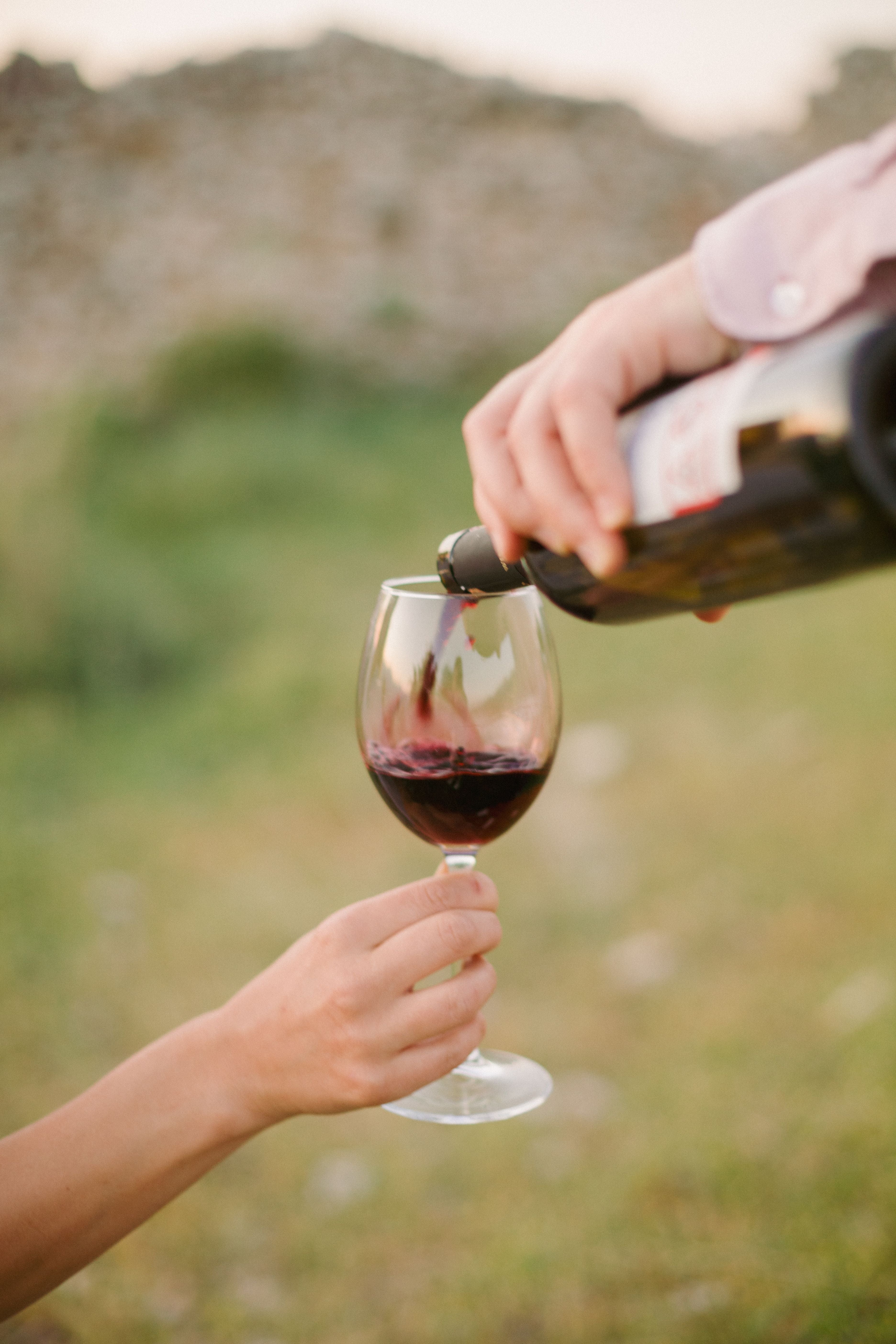 Meteora, Greece - Horseback & Local Wine Tasting Experience