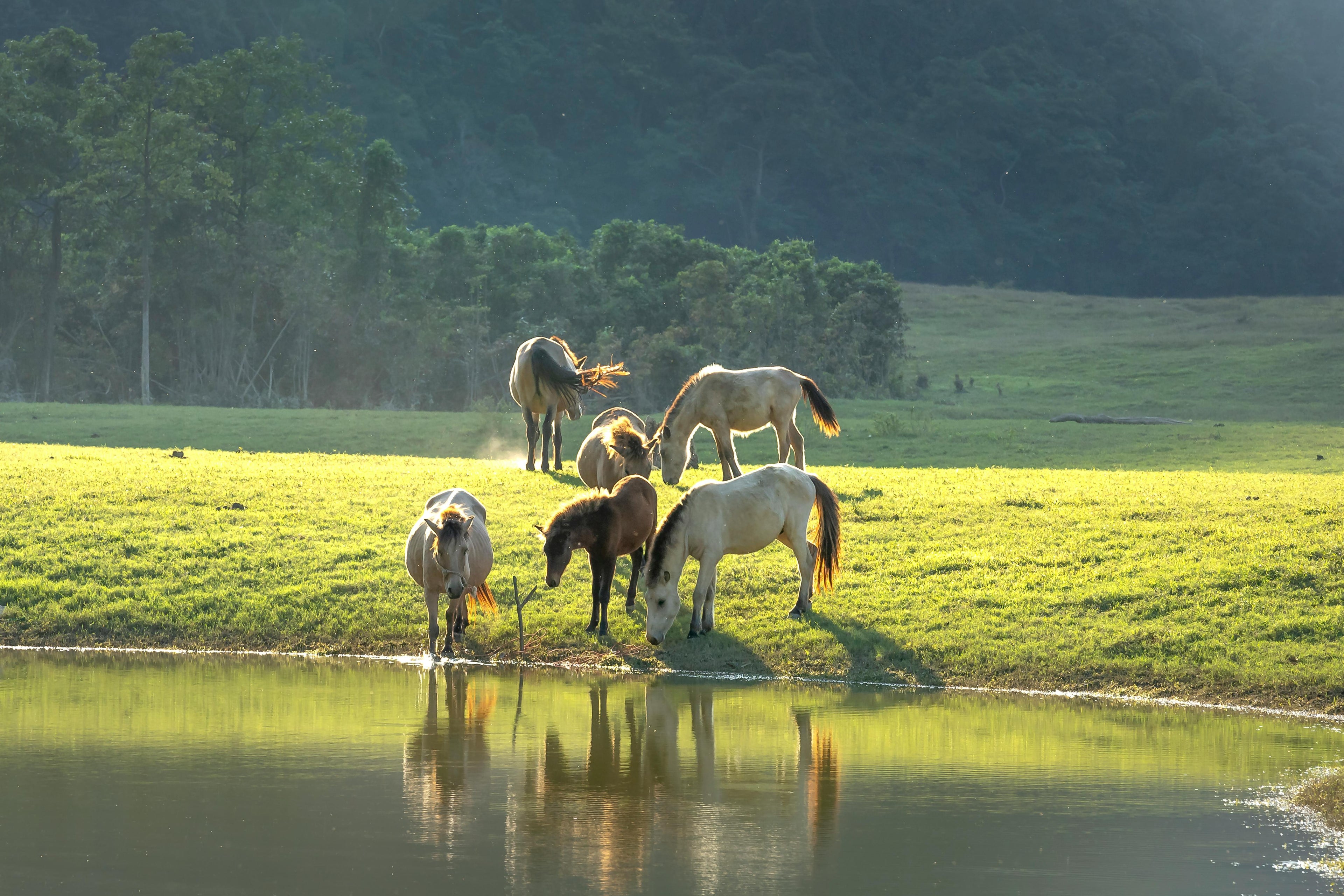 Paris Countryside – A Modern Equestrian Estate Dedicated to Horsemanship & Nature