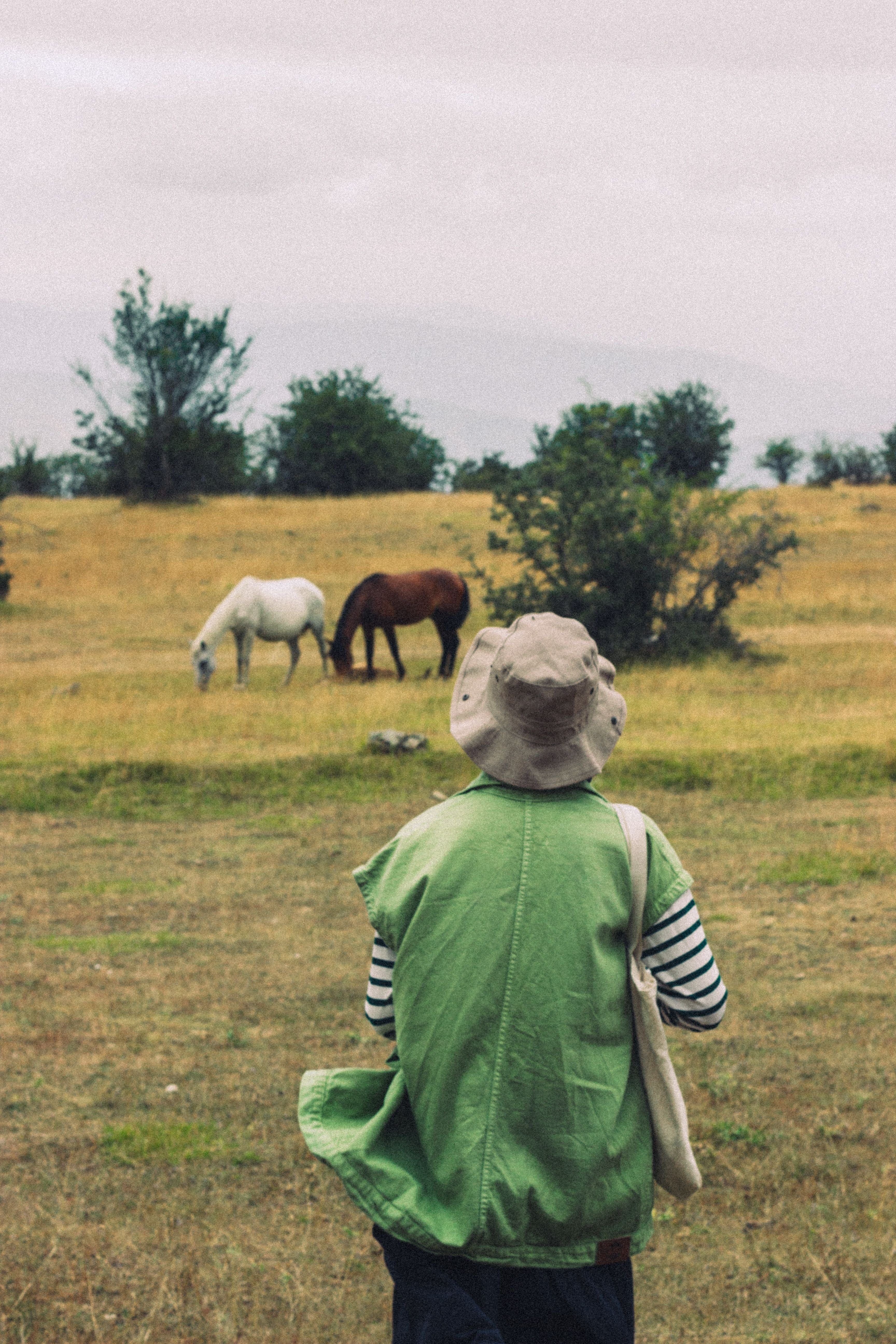 Horse & Countryside Immersion in Kalamata, Greece
