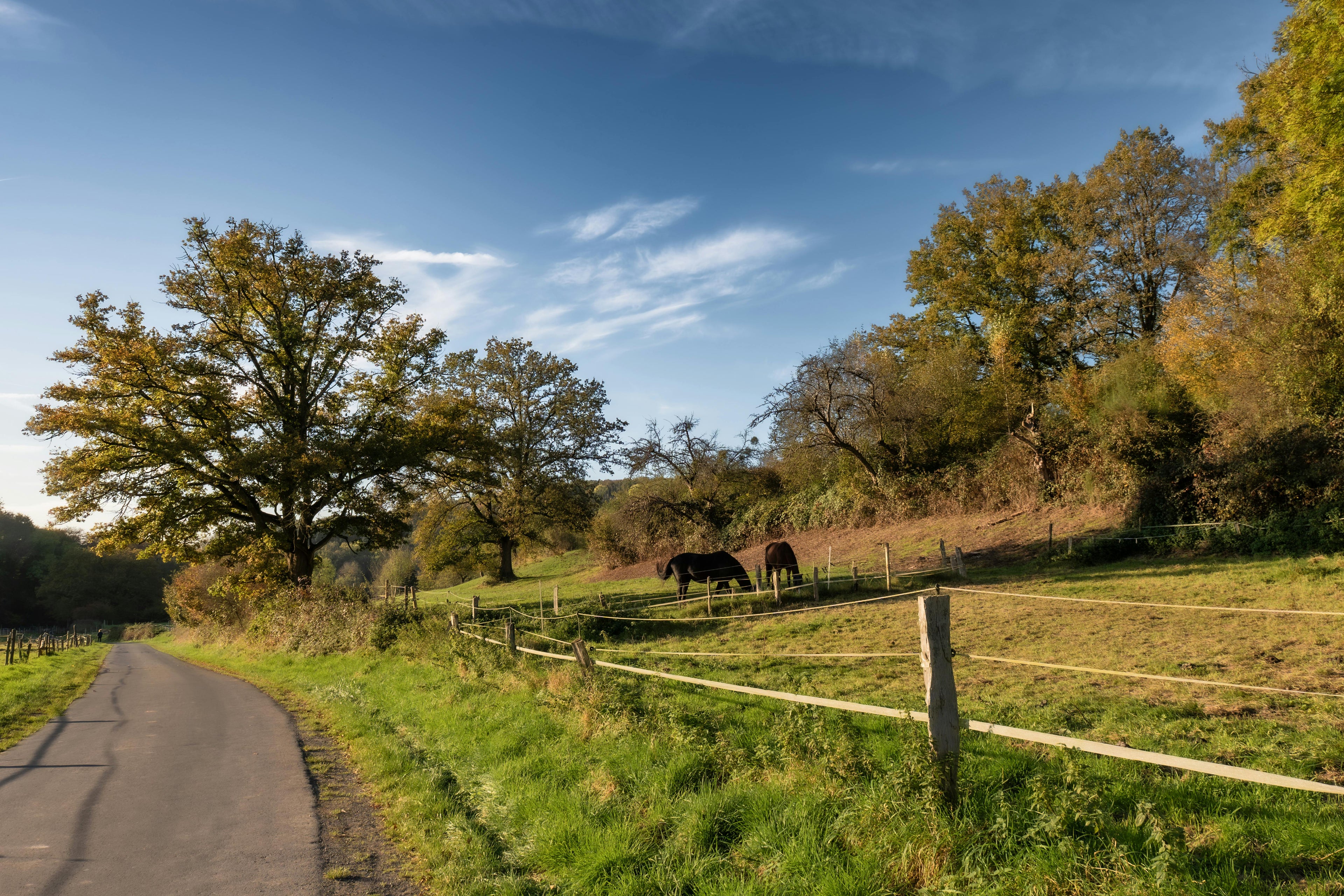 French Countryside – An Engaging Nature & Trail Riding Experience for All Generations