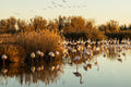 Camargue – A Luxurious 17th-Century Ranch Estate with Wild Marshlands & Legendary White Horse Trails