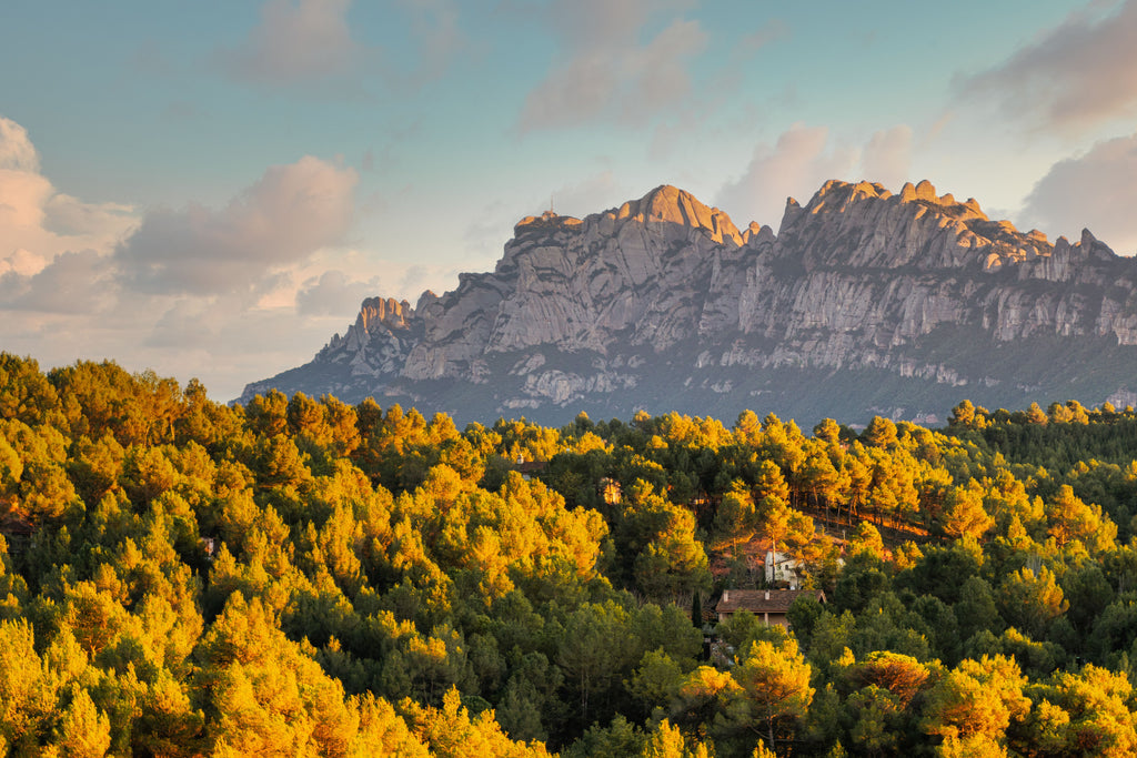 Mountain & Exclusive Wine Cellar Experience in Barcelona, Spain