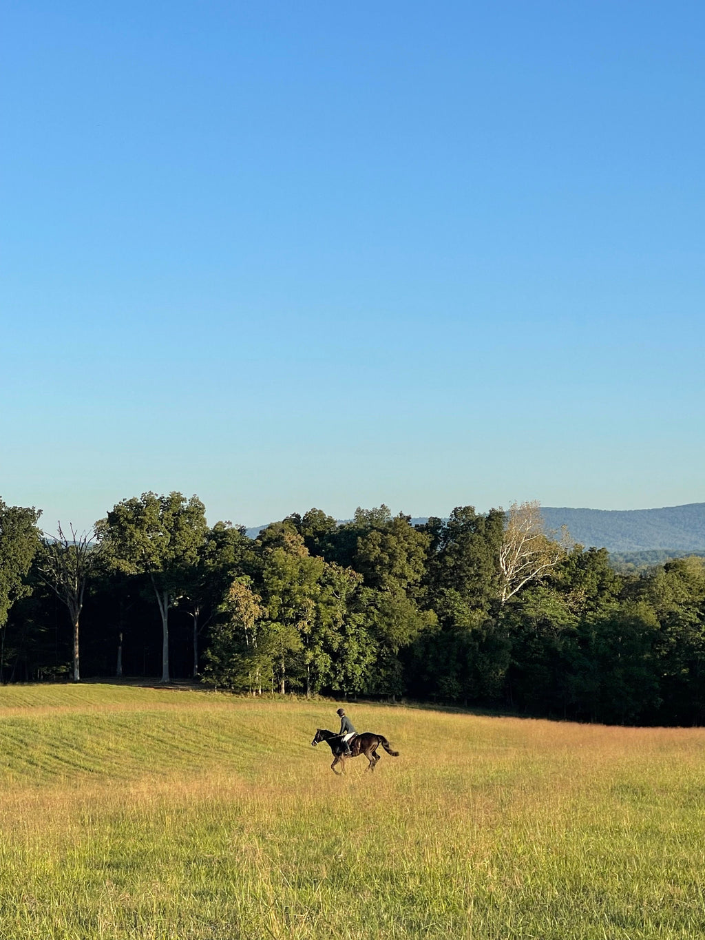 Bordeaux - Vineyard Trails & Wine Tasting