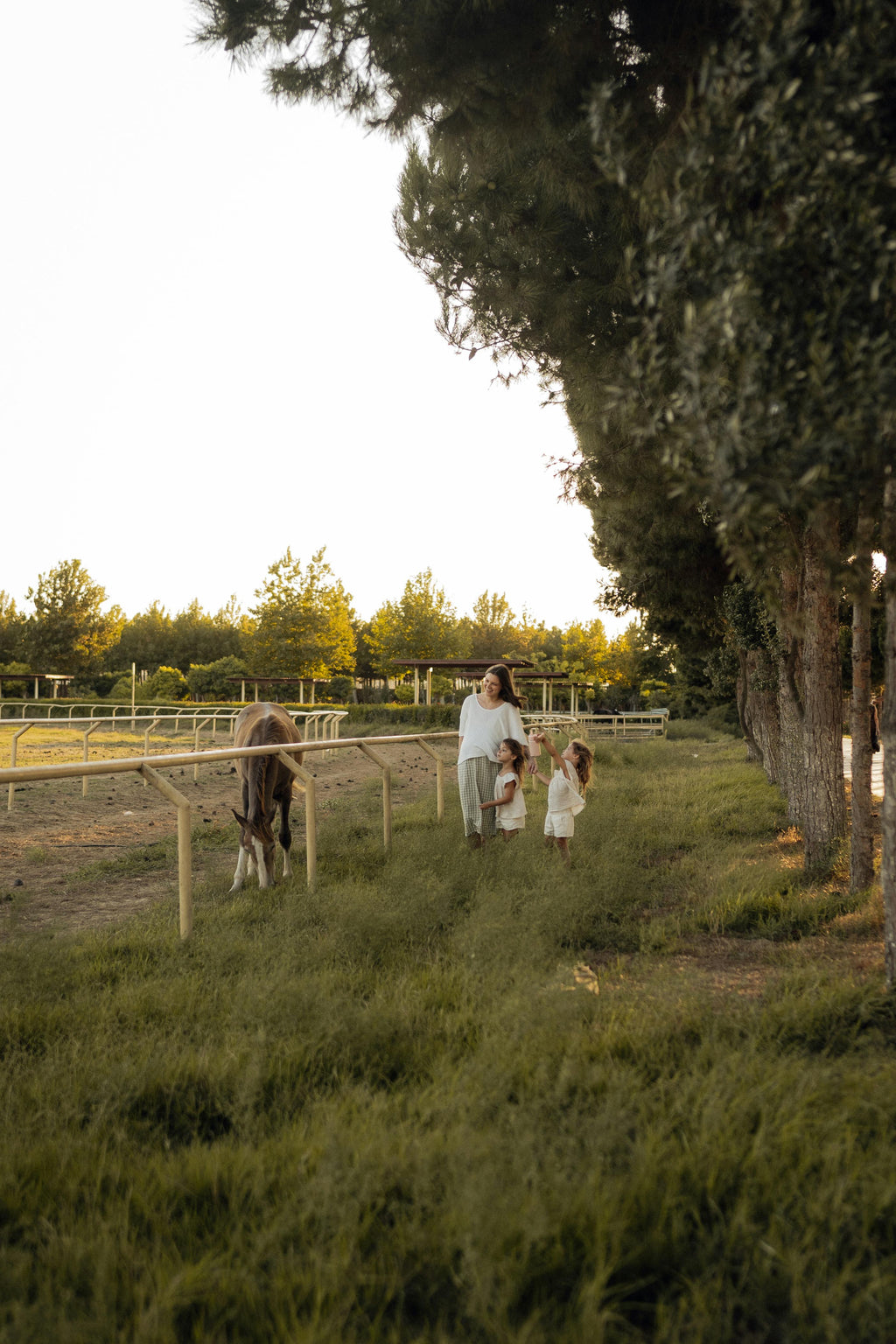 Summer Getaway – Vibrant Multi-Activity Escape & Scenic Nature Trails for All Generations