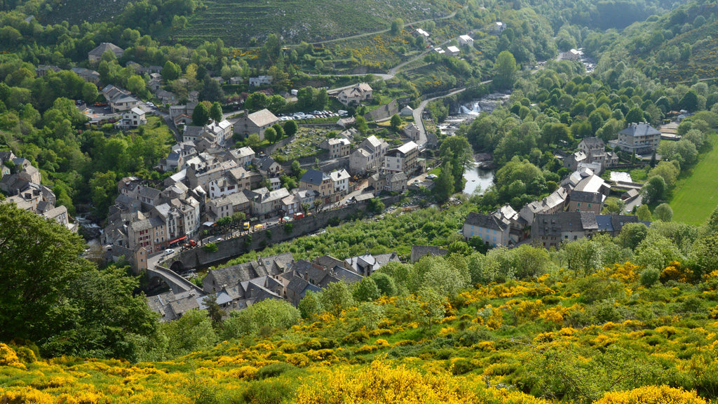 Occitanie – Authentic Countryside Trail Riding through Scenic Valleys & Historic Hills