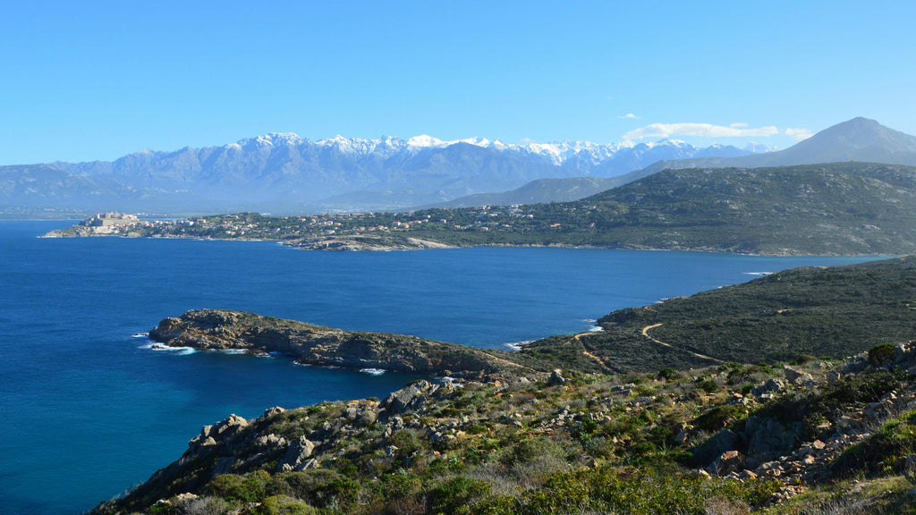 Corsica – An Exclusive Beach & Wild Maquis Horseback Ride on a Luxury Mediterranean Estate