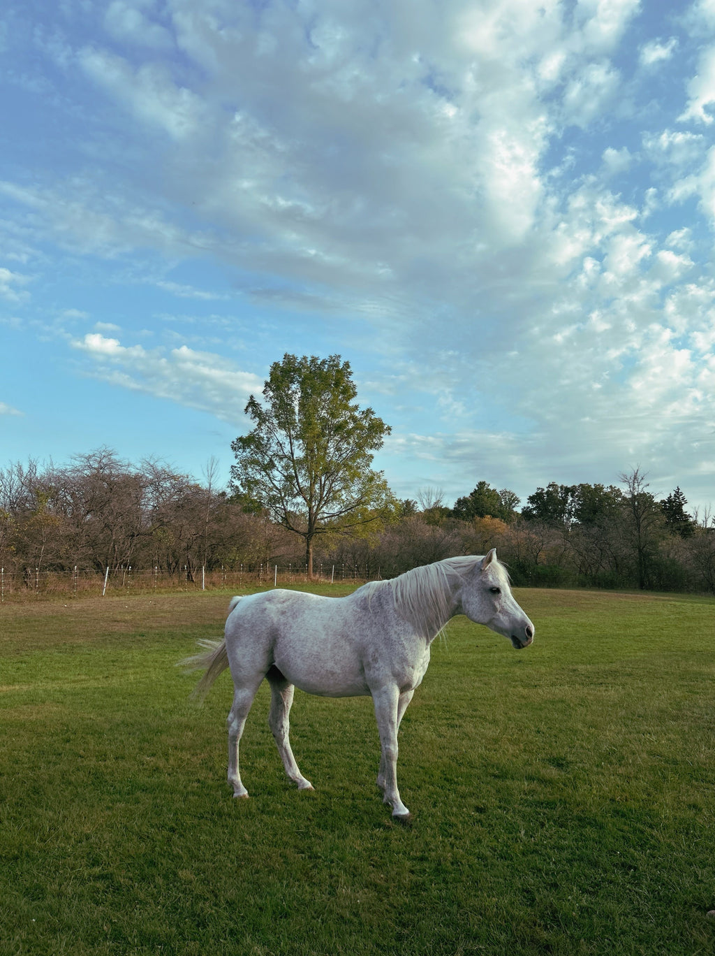 Tuscany - A Slow Morning on Horseback
